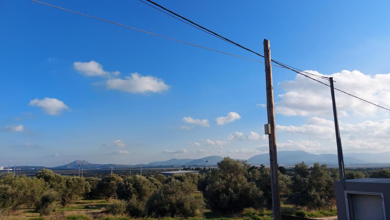 Makarios Apartment Near Athens Aiport Spata  Ngoại thất bức ảnh
